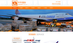 義烏網(wǎng)站建設,義烏做網(wǎng)站案例，東東國際貨運代理有限公司